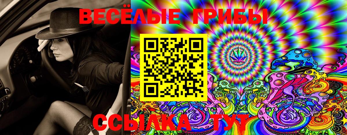 Галлюциногенные грибы Cubensis Тимашёвск